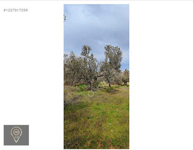 SATILIK ZEYTİNLİK HOBİ BAHÇESİ