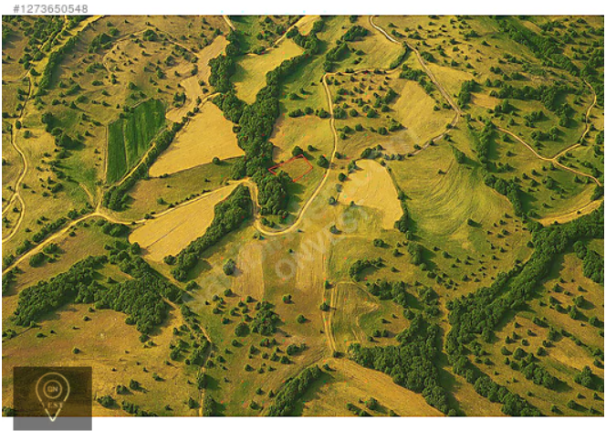 OnVest'ten KIRKLARELİ KUZULU'DA YOLA YAKIN 3.410m² SATILIK TARLA