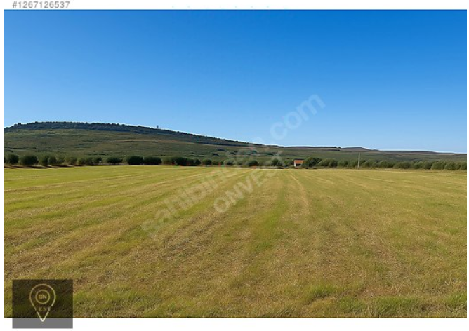 OnVest'ten ÇANAKKALE AYVACIK'TA SULU TARIMA UYGUN SATILIK TARLA
